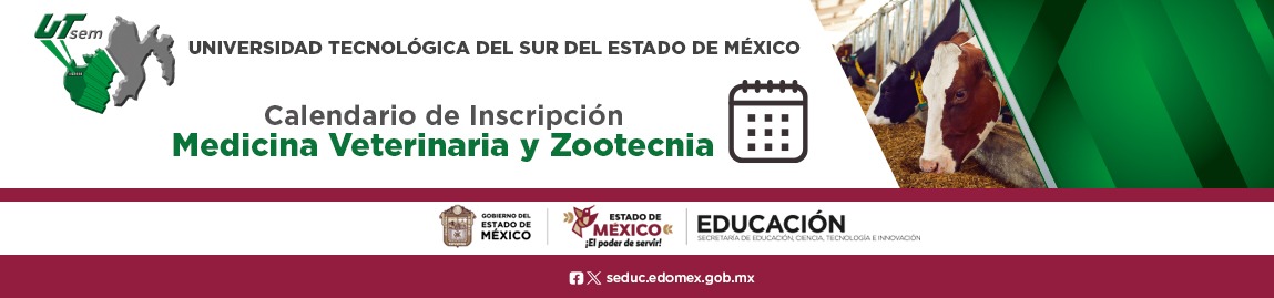 Resultados MVZ